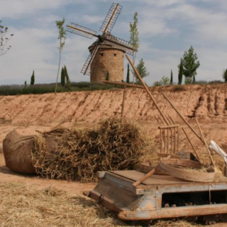 233cf35a-0934-5444-0cc1-6be94f94f1e9_660 233cf35a-0934-5444-0cc1-6be94f94f1e9_660