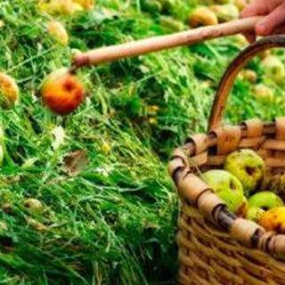 GL_Astigarraga_sidra GL_Astigarraga_sidra