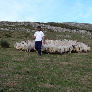 PASTOR-CON-OVEJAS PASTOR-CON-OVEJAS