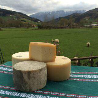 QUESO-PAISAJE-BONITA-ofvpoaw5g6rk5ve3y8ojty6si3414tbdxcgqv1r66o QUESO-PAISAJE-BONITA-ofvpoaw5g6rk5ve3y8ojty6si3414tbdxcgqv1r66o