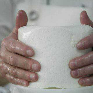 elaboracion_queso elaboracion_queso