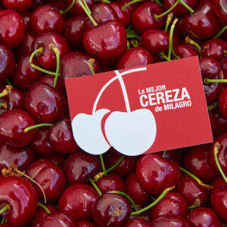 06 - Día de la Cereza de Milagro-JPU_6594 06 - Día de la Cereza de Milagro-JPU_6594