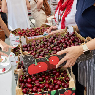 06 - Día de la Cereza de Milagro-JPU_6844 06 - Día de la Cereza de Milagro-JPU_6844