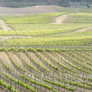 Patrimonio Natural_Francis Vaquero_Turismo de Navarra Patrimonio Natural_Francis Vaquero_Turismo de Navarra