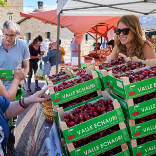 06b - Cereza de Etxauri Día de la Cereza-JPU_9151 06b - Cereza de Etxauri Día de la Cereza-JPU_9151