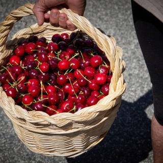 06b - Cereza de Etxauri Día de la Cereza-JPU_9822 06b - Cereza de Etxauri Día de la Cereza-JPU_9822