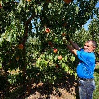 A: J.P. UrdírozF: 05-08-2022P: L: PamplonaT: Instalaciones del C.A. Osasuna en Tajonar. Futbol. Torneo Sentimiento. Partido Osasuna-Real Madrid