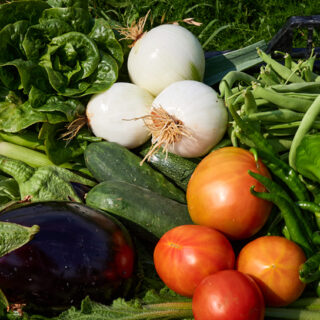 14 - Verdura Ecologica Valle de Etxauri-JPU_9968 14 - Verdura Ecologica Valle de Etxauri-JPU_9968