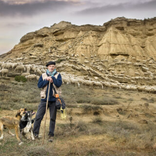 Pastor Bardena 351703 Pastor Bardena 351703